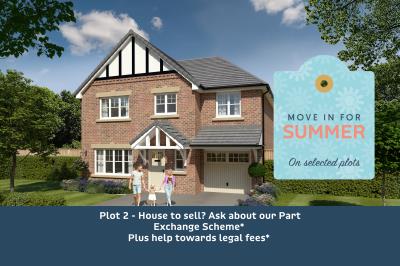Plot 2  Ash Tree Fold